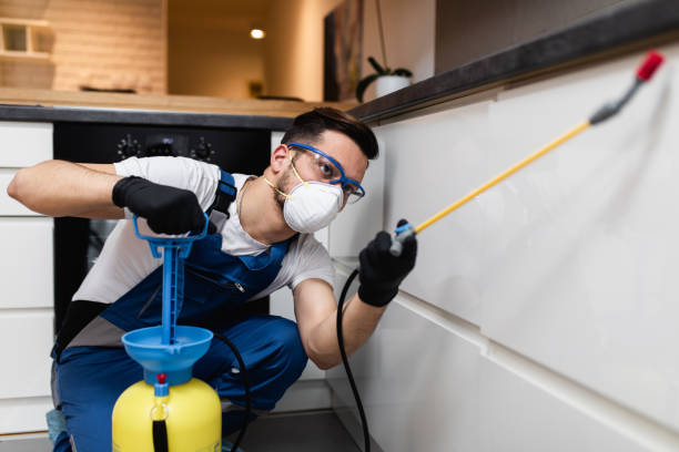 Best Pest Control for Homes  in Willow Grove, PA