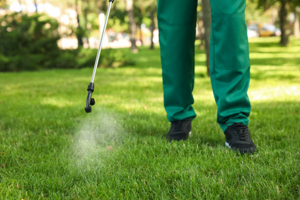 Pest Control for Restaurants in Willow Grove, PA